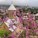 قلعة ناريكالا 3