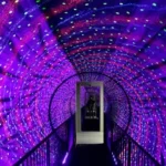 متحف الأوهام تبليسي 4