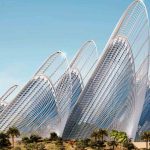 متحف زايد الوطني2