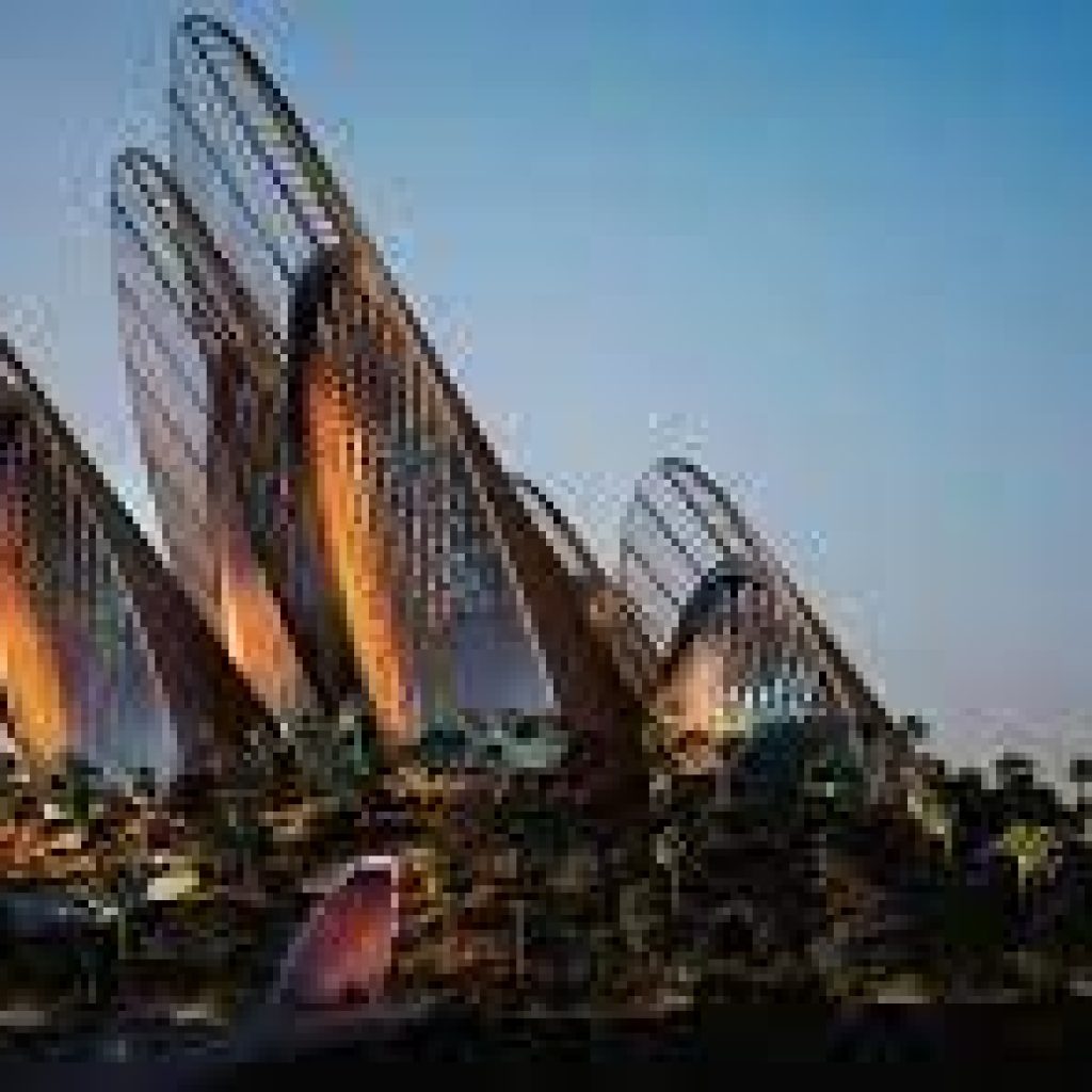 متحف زايد الوطني6