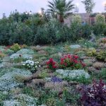 منتزه الملك عبدالله بمكة ١