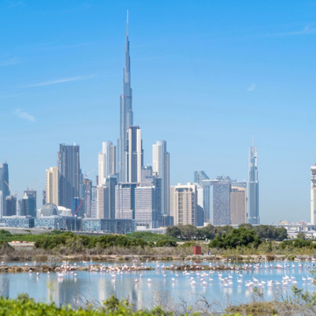 محمية رأس الخور للحياة البرية