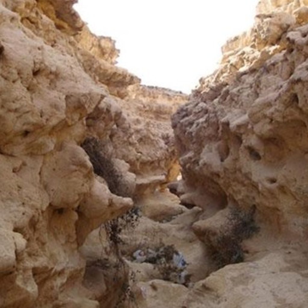 محمية وادي دجلة 3