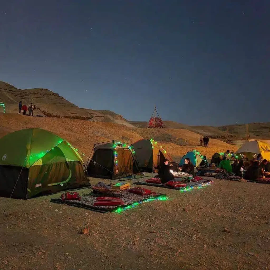 محمية وادي دجلة - Image 6