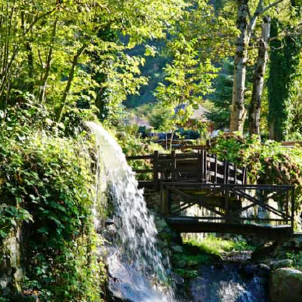 رحلة من مدينة اسطنبول إلى مدينة صبنجة ومعشوقية 5