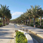 رحلة من مدينة دبي إلى مدينة عجمان