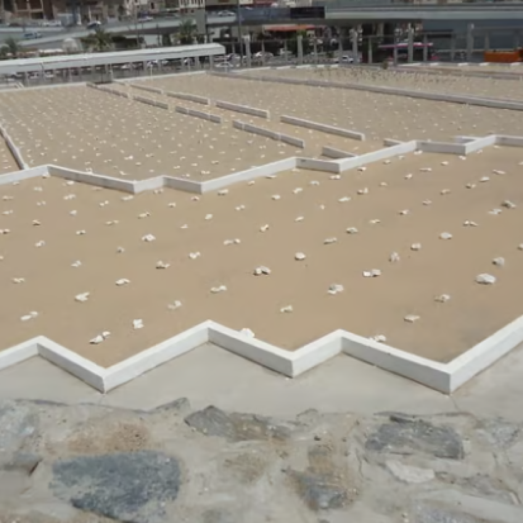 مقبرة المعلاة ٦