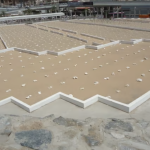 مقبرة المعلاة ٦