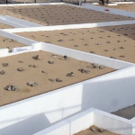 مقبرة المعلاة ٣