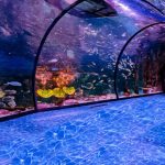 ناشونال أكواريوم أبوظبي