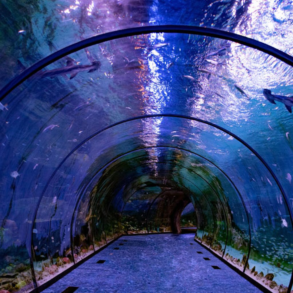 ناشونال أكواريوم أبوظبي1