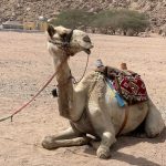 وادي الجن في البيضاء4