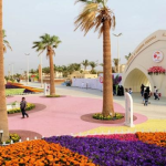 رحلة من مدينة العلا إلى مدينة ينبع ٥