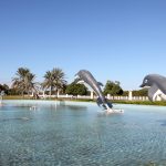 حديقة الدلافين أبوظبي