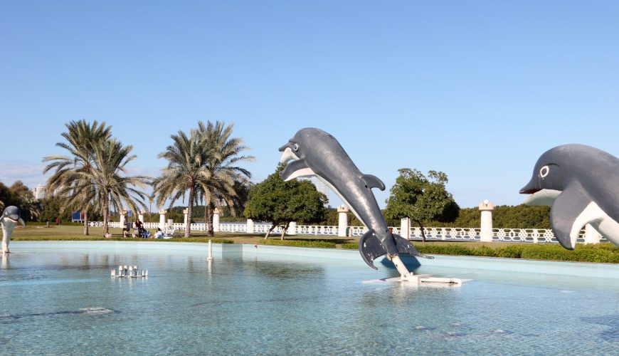 حديقة الدلافين أبوظبي