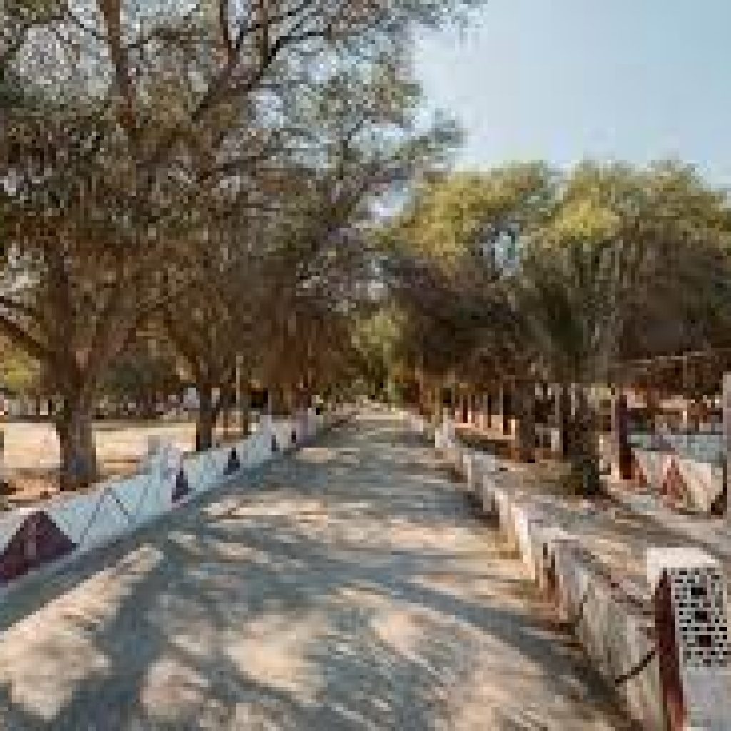 حديقة حيوان ومحمية الدوسري5