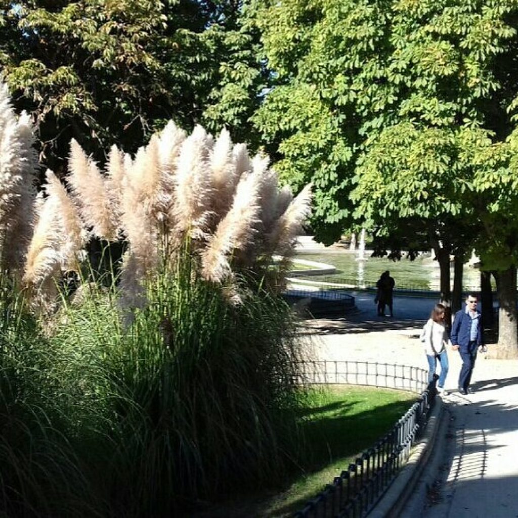 حديقه برلين ١