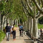 حديقة كاسا دي كامبو ٢