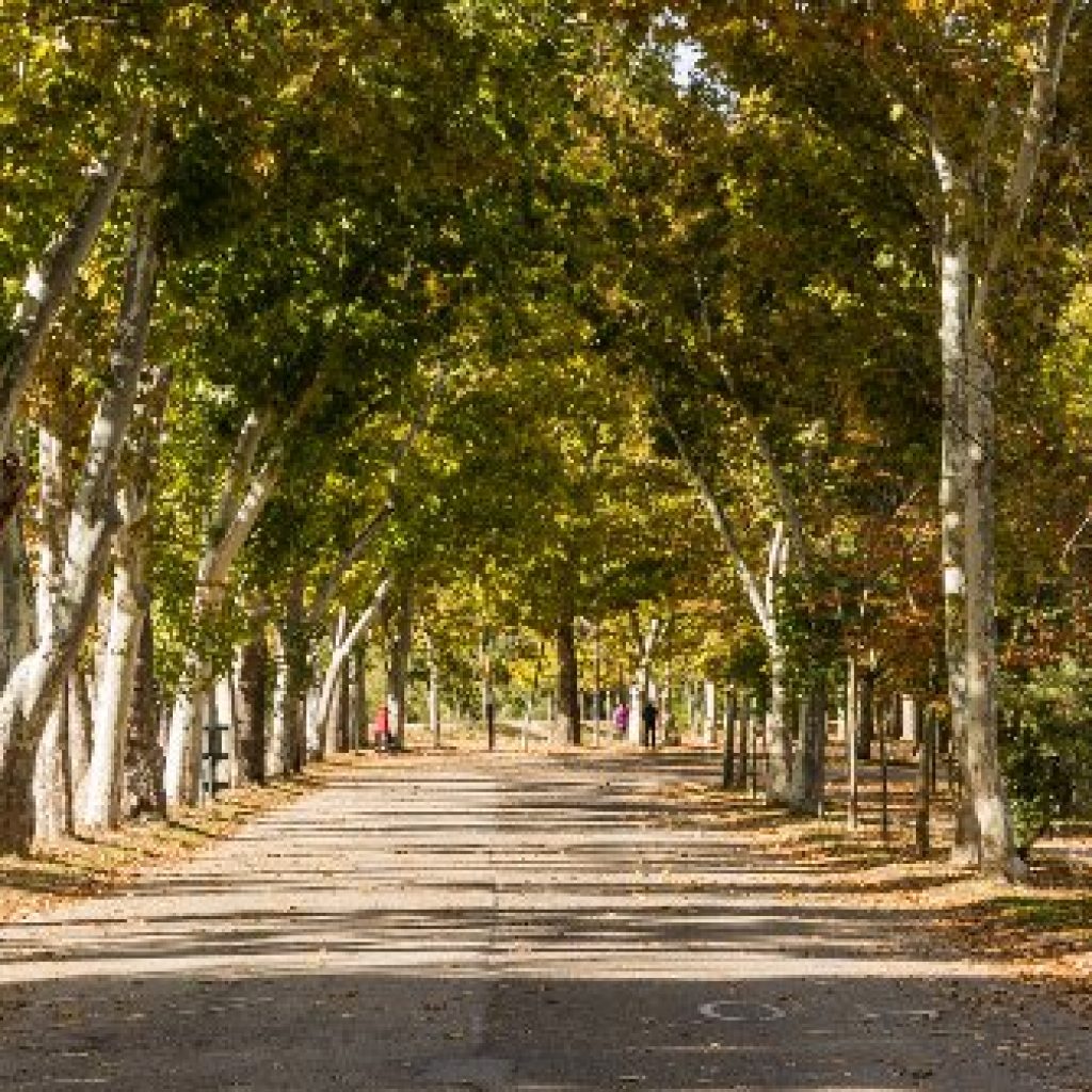 حديقة كاسا دي كامبو ٣