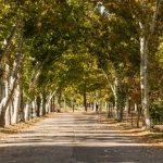 حديقة كاسا دي كامبو ٣