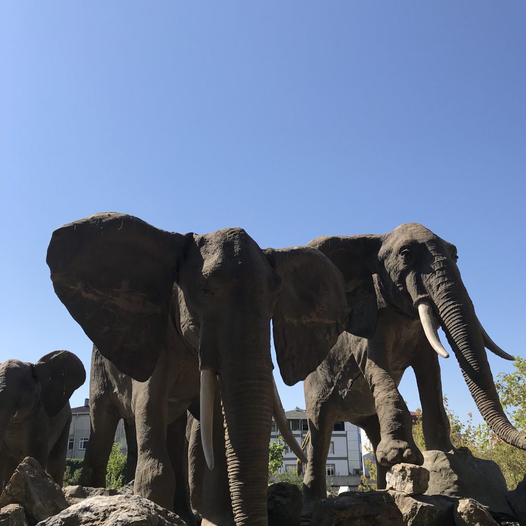 حديقة حيوانات فاروق يالجين والحديقة النباتية