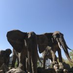 حديقة حيوانات فاروق يالجين والحديقة النباتية