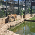 حديقة حيوانات فاروق يالجين والحديقة النباتية 4