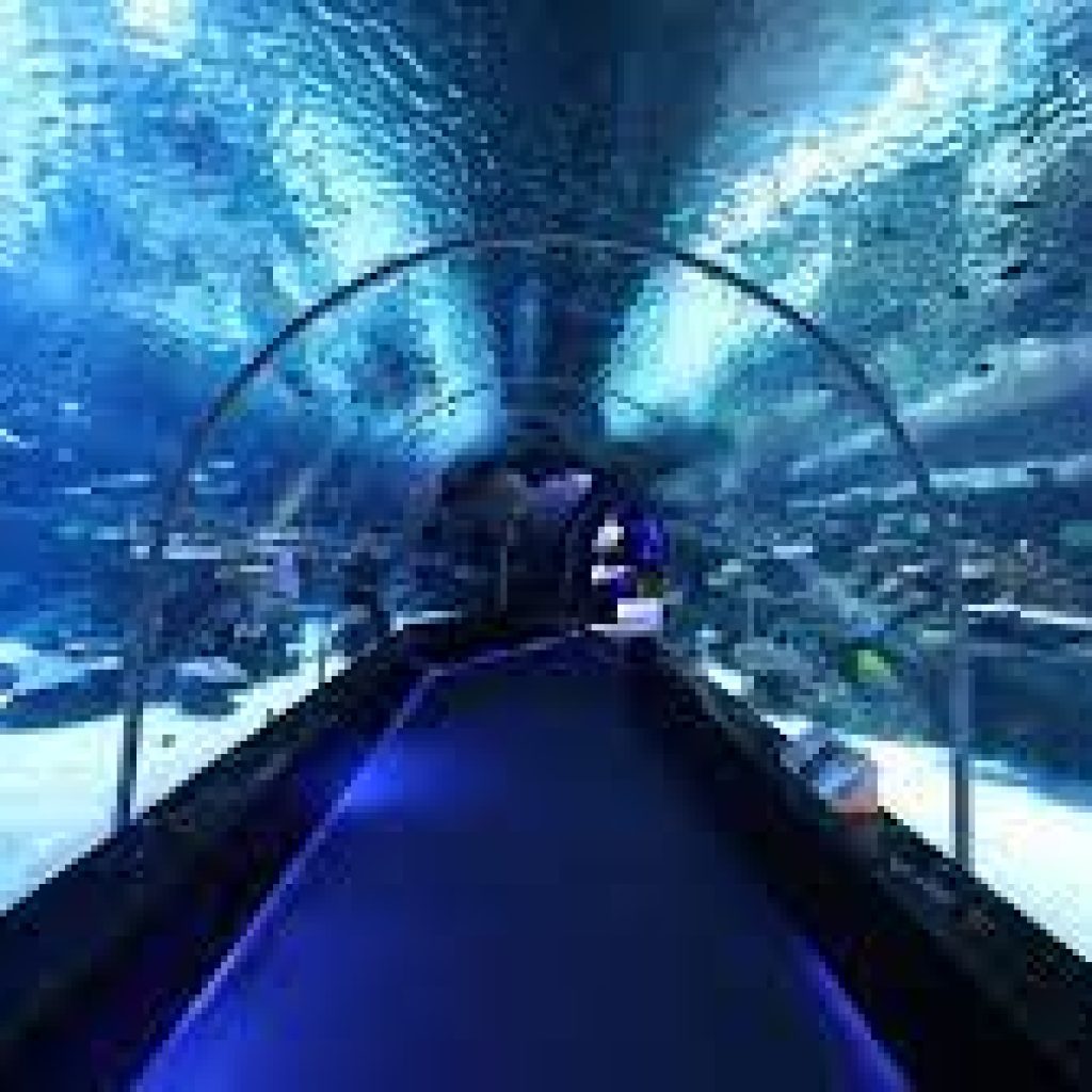 ميناء حمد والاكواريوم2