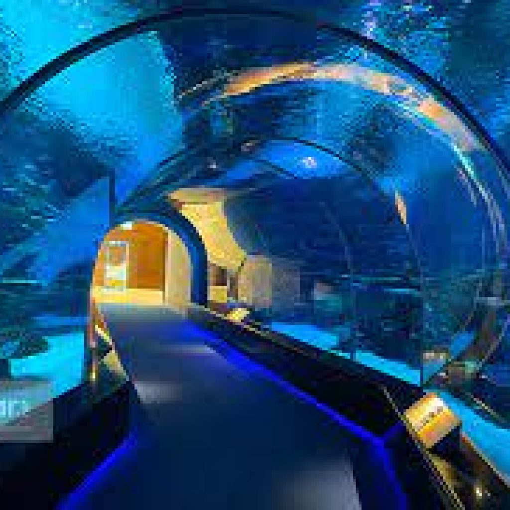 ميناء حمد والاكواريوم4