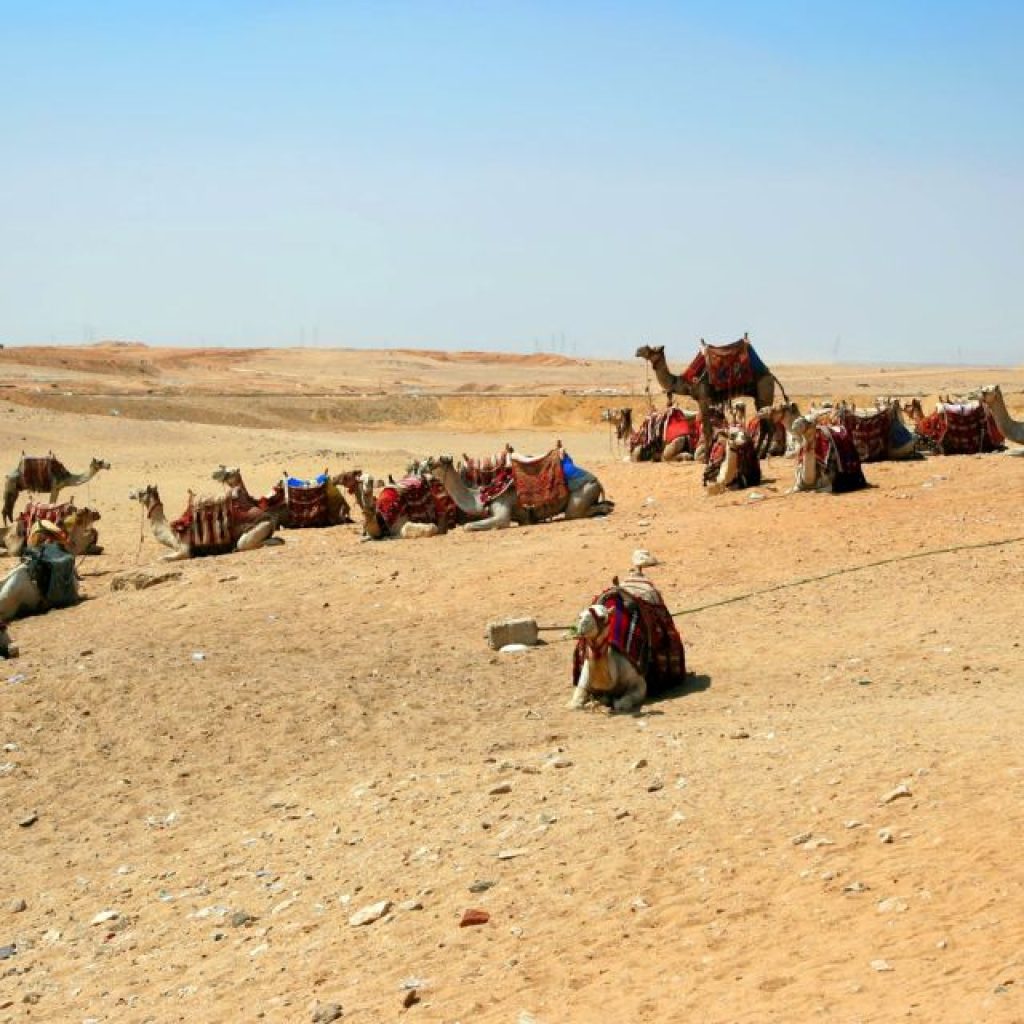 جولة صحراوية في صحراء المنامة