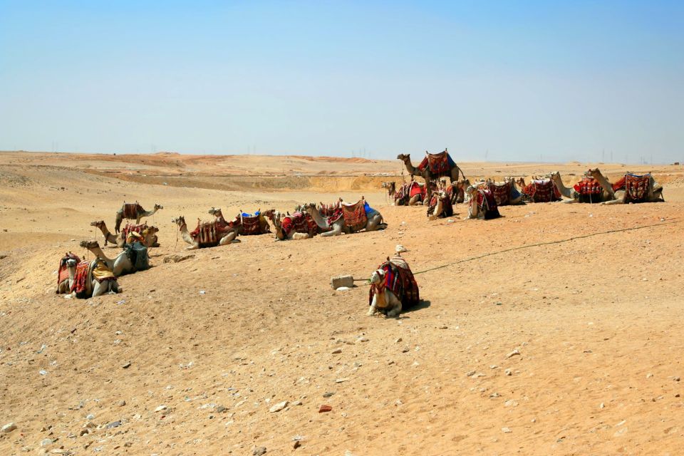 جولة صحراوية في صحراء المنامة