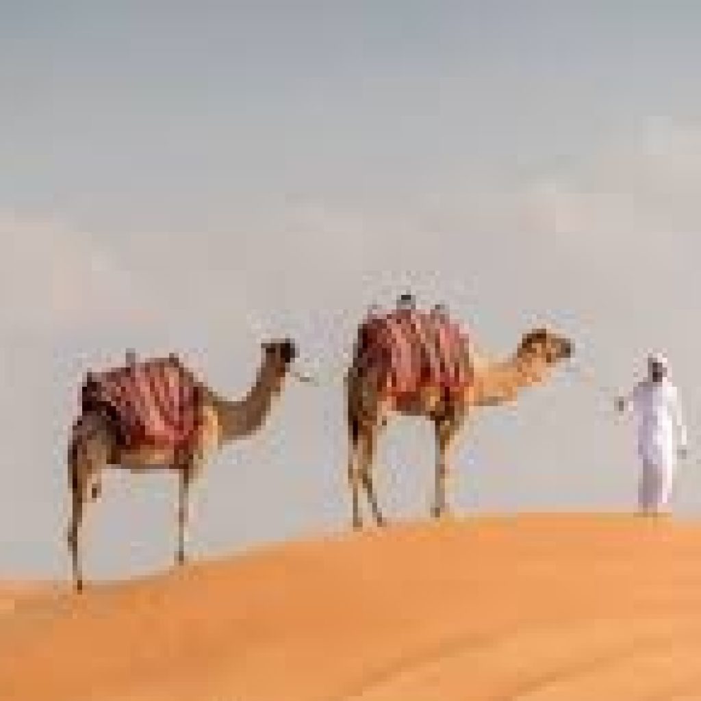 جولة صحراوية في صحراء المنامة