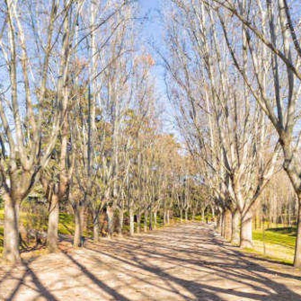 حديقه اويستي ٢