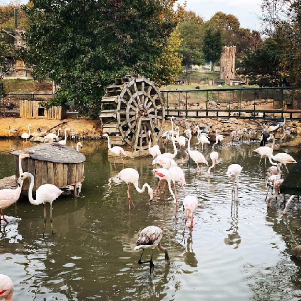 حديقة حيوان بولونيزكوي