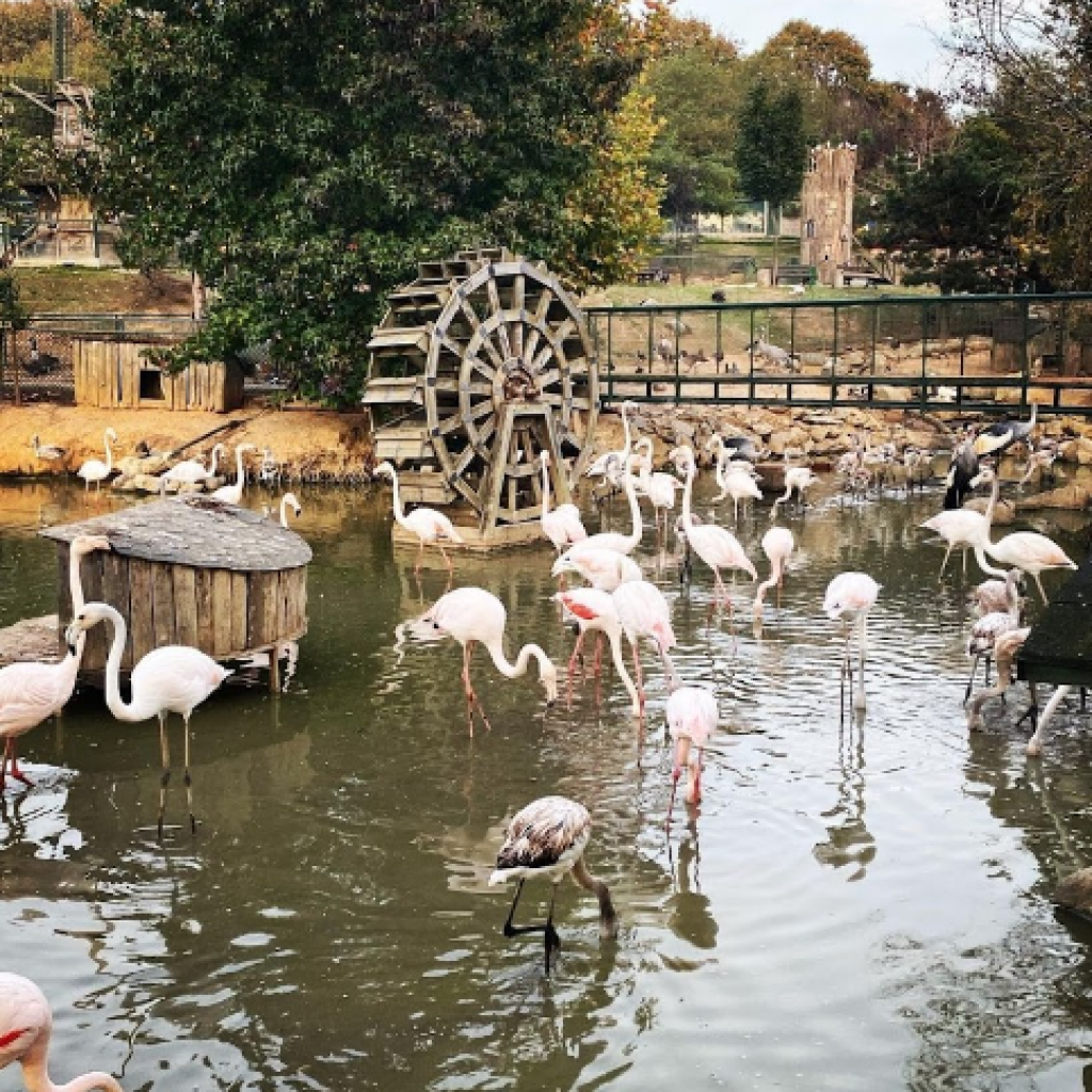 حديقة حيوان بولونيزكوي