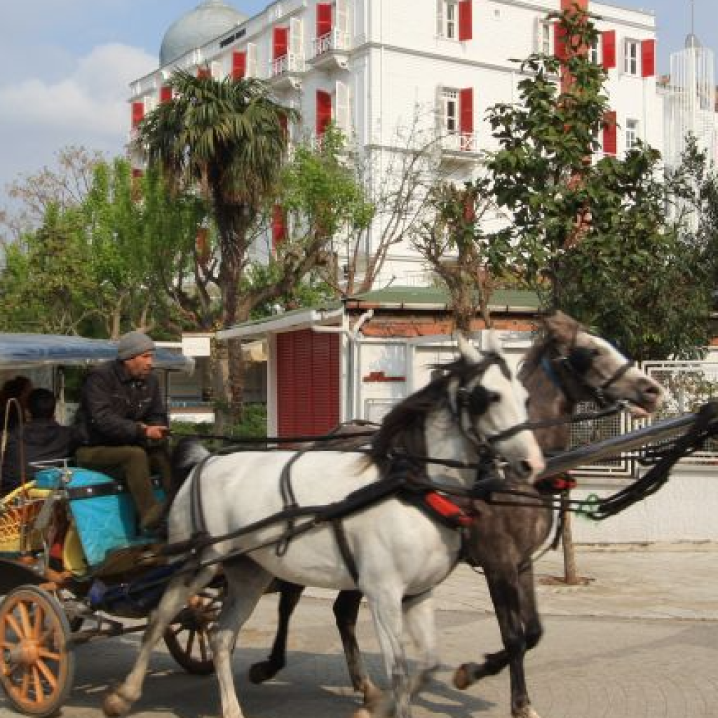 رحلة جزيرة الاميرات ٣