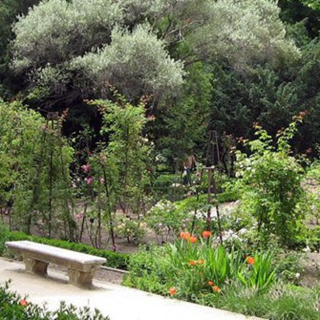 الحديقة النباتية الملكية ١