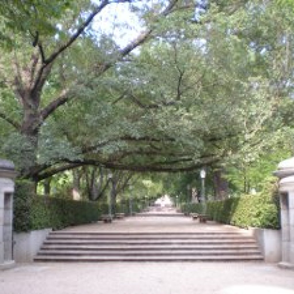 الحديقة النباتية الملكية ٤