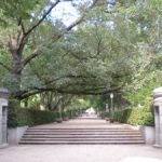 الحديقة النباتية الملكية ٤