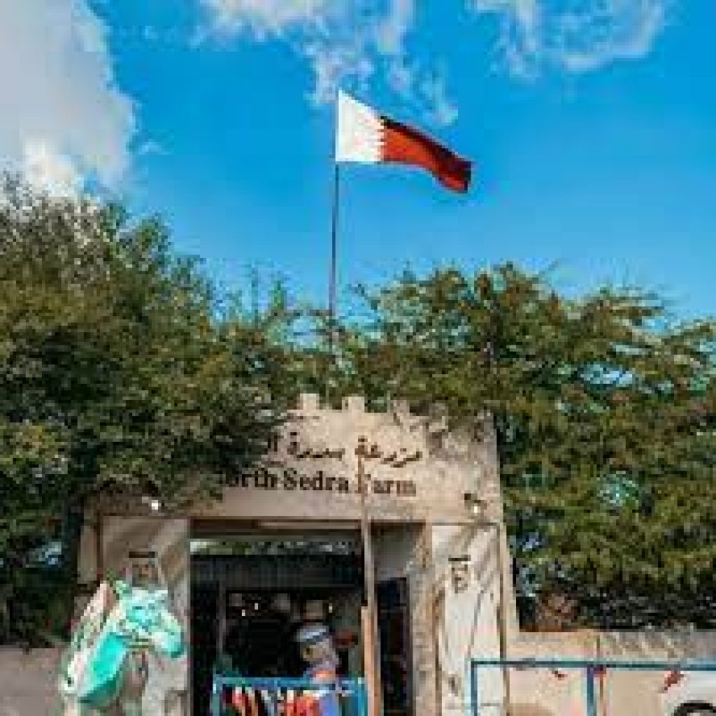 مزرعة سدرة الشمال5