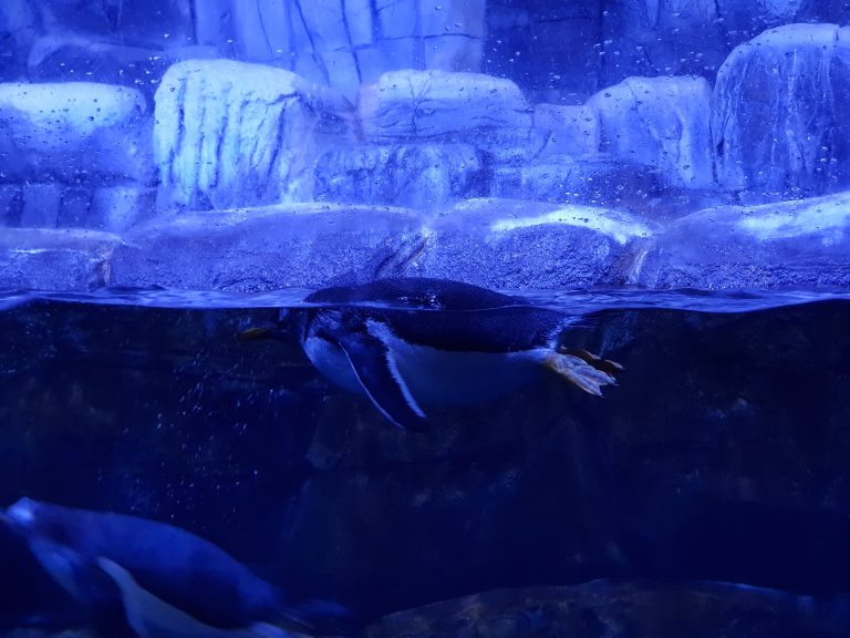 أهم حدائق الحيوان و منتزهات الاكواريوم في مدينة إسطنبول