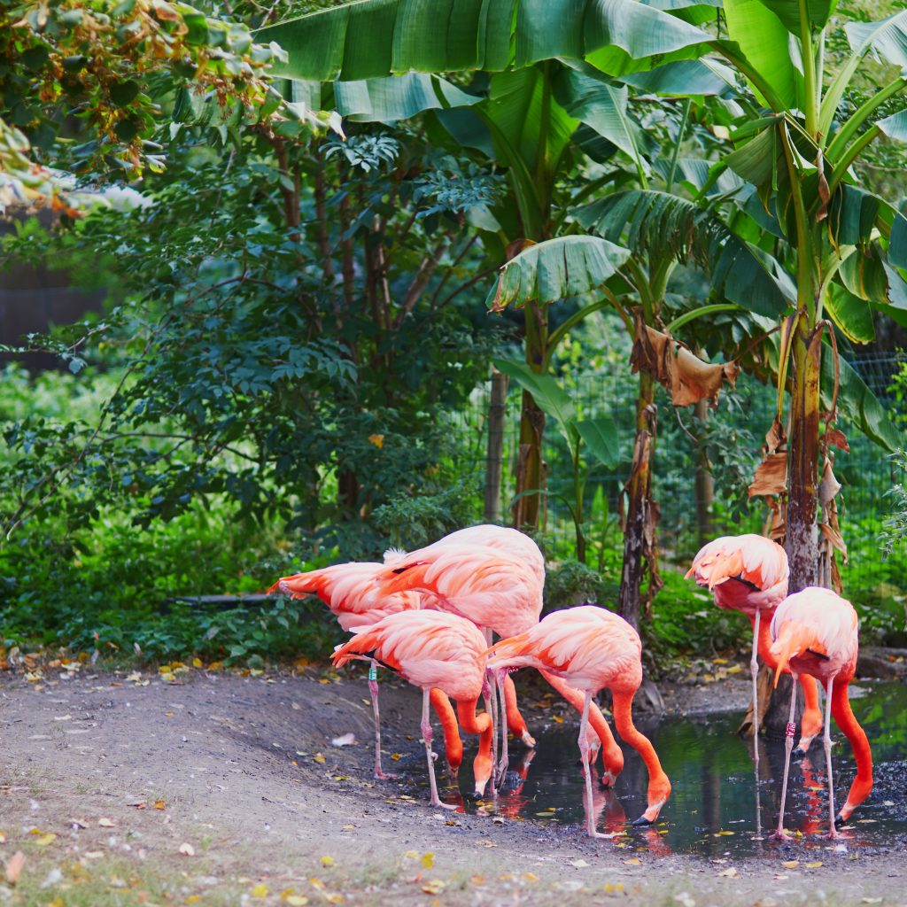 أهم حدائق الحيوان والمتنزهات الترفيهية الأكواريوم في مدينة باريس