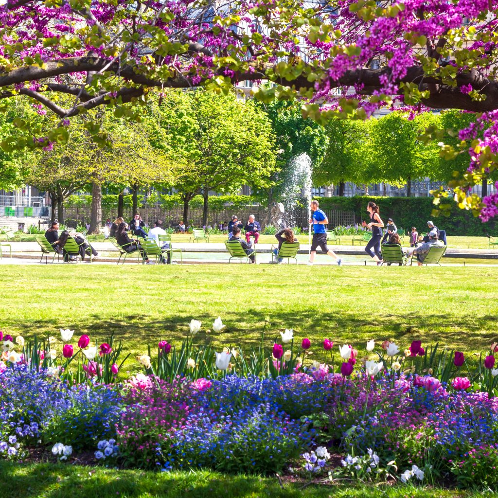 أهم حدائق و أنشطة الأطفال في مدينة باريس