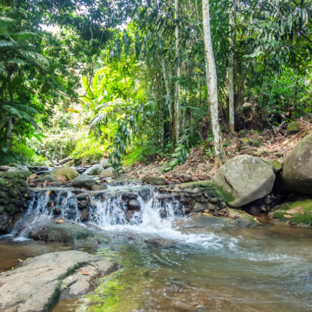 أهم الحدائق و المنتزهات في جزيرة فوكيت