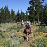 ملاهي مغامرة زيبلاين ١