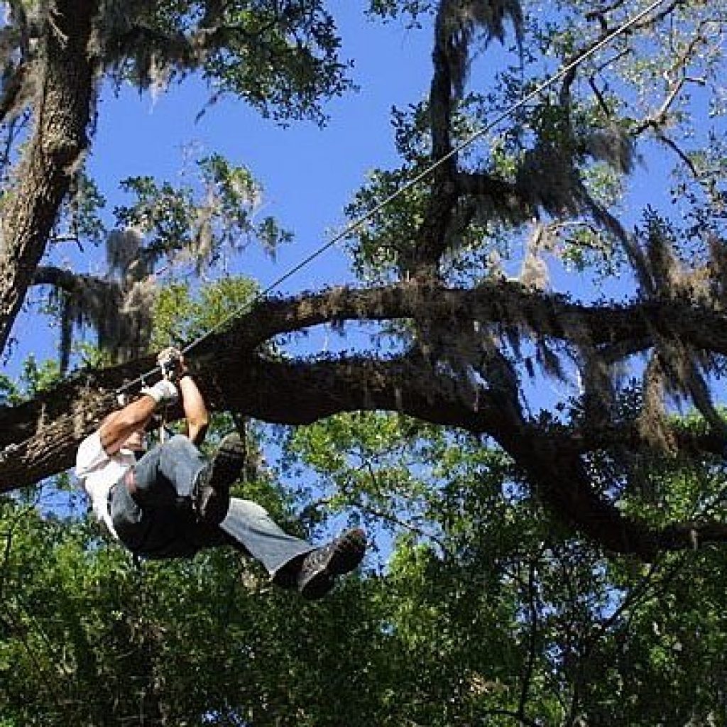 ملاهي مغامرة زيبلاين ٥