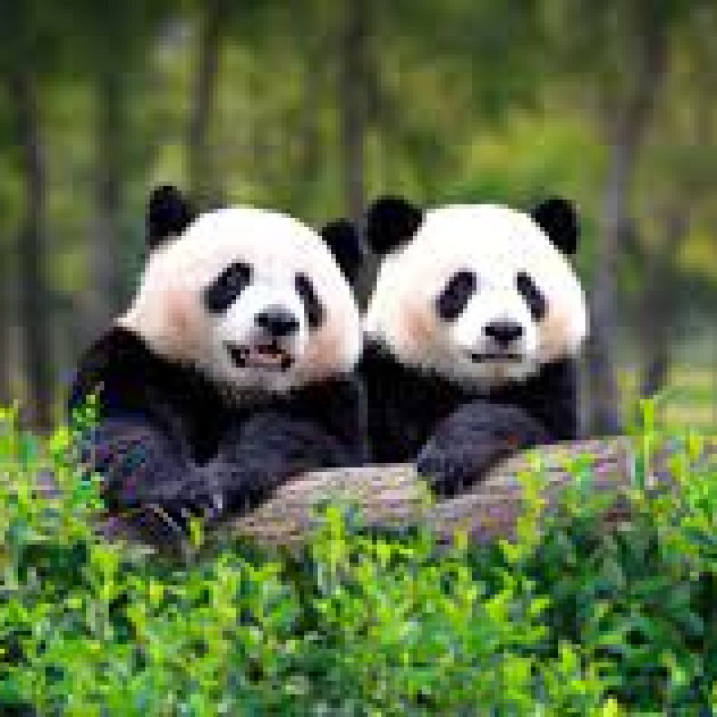 أهم حدائق الحيوان والاكواريوم في مدينة مدريد