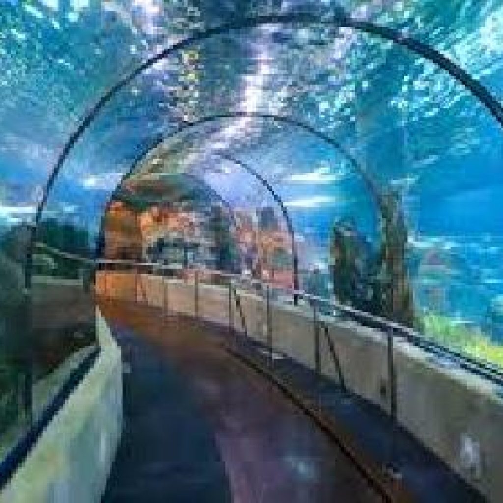 اكواريوم برشلونة