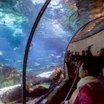 اكواريوم برشلونة