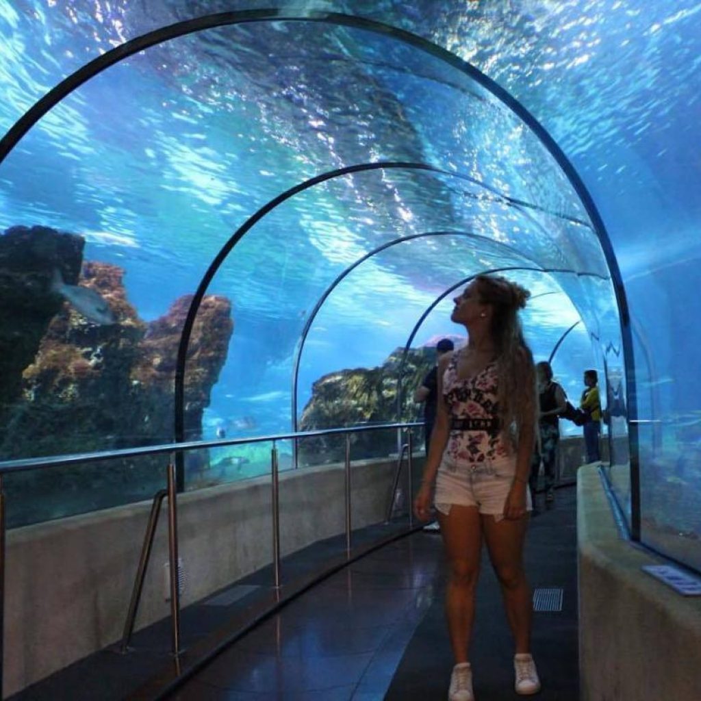 اكواريوم برشلونة